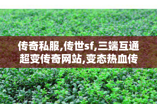 传奇私服,传世sf,三端互通超变传奇网站,变态热血传奇私服,三端互通超变传奇网站