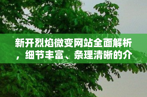 新开烈焰微变网站全面解析，细节丰富、条理清晰的介绍与攻略