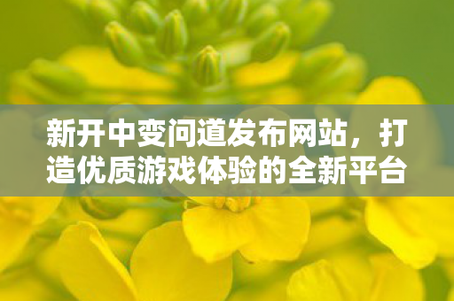 新开中变问道发布网站，打造优质游戏体验的全新平台