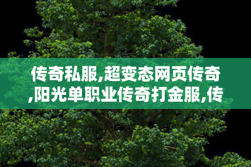 传奇私服,超变态网页传奇,阳光单职业传奇打金服,传奇世界新开服网站,阳光单职业传奇打金服