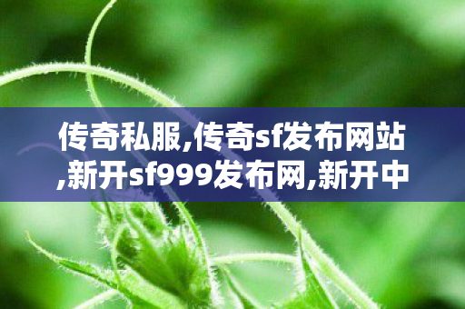 传奇私服,传奇sf发布网站,新开sf999发布网,新开中变传奇发布网,新开sf999发布网