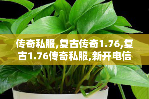 传奇私服,复古传奇1.76,复古1.76传奇私服,新开电信传奇私服,复古1.76传奇私服