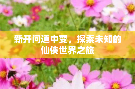 新开问道中变，探索未知的仙侠世界之旅