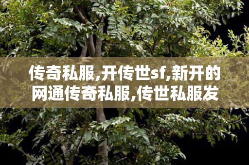 传奇私服,开传世sf,新开的网通传奇私服,传世私服发布网刚开一秒,新开的网通传奇私服