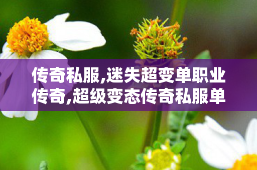 传奇私服,迷失超变单职业传奇,超级变态传奇私服单职业,传奇2私服,超级变态传奇私服单职业