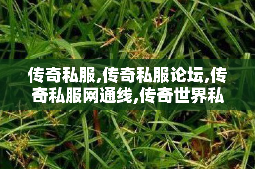 传奇私服,传奇私服论坛,传奇私服网通线,传奇世界私服发布网,传奇私服网通线