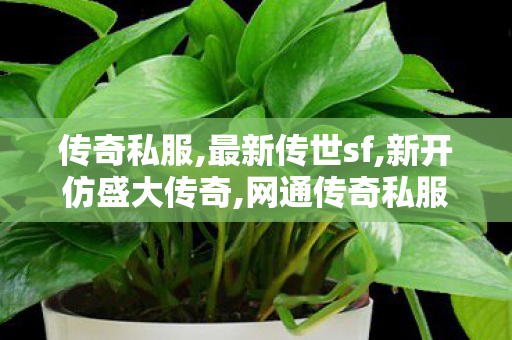 传奇私服,最新传世sf,新开仿盛大传奇,网通传奇私服发布网,新开仿盛大传奇