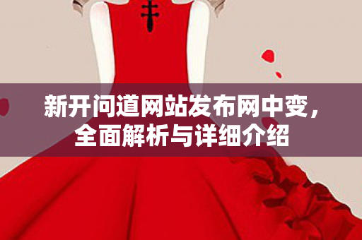 新开问道网站发布网中变，全面解析与详细介绍