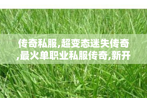 传奇私服,超变态迷失传奇,最火单职业私服传奇,新开超级变态传世sf,最火单职业私服传奇