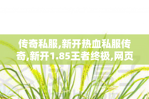 传奇私服,新开热血私服传奇,新开1.85王者终极,网页传奇私服,新开1.85王者终极