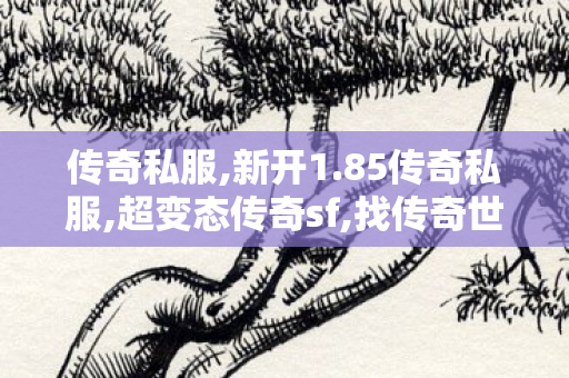 传奇私服,新开1.85传奇私服,超变态传奇sf,找传奇世界私服网站,超变态传奇sf