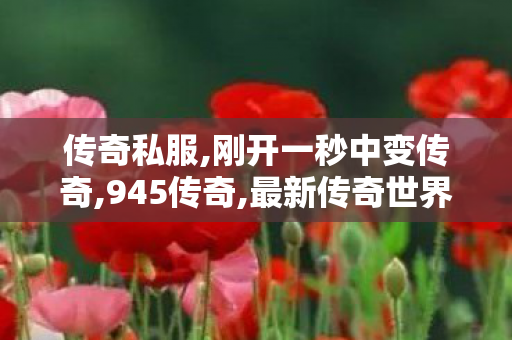 传奇私服,刚开一秒中变传奇,945传奇,最新传奇世界私服网,945传奇