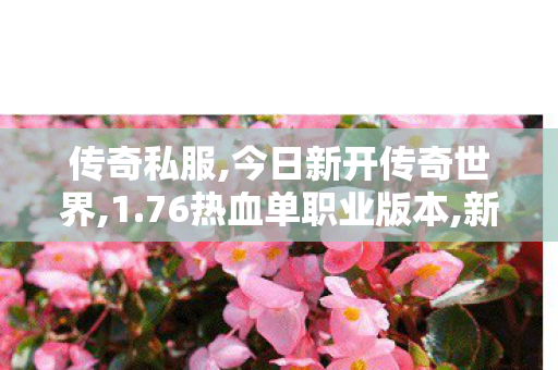 传奇私服,今日新开传奇世界,1.76热血单职业版本,新开传奇世界网站中变私服,1.76热血单职业版本