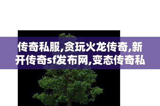 传奇私服,贪玩火龙传奇,新开传奇sf发布网,变态传奇私发布网,新开传奇sf发布网