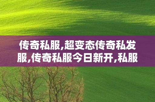传奇私服,超变态传奇私发服,传奇私服今日新开,私服传奇世界,传奇私服今日新开
