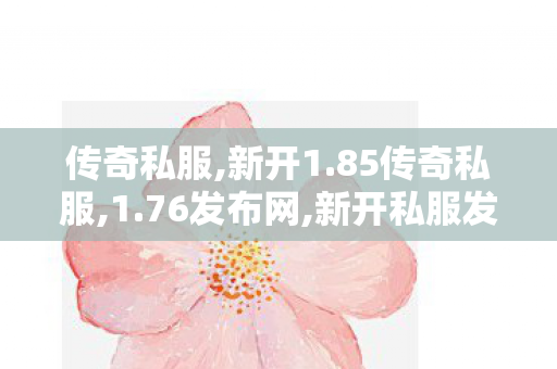 传奇私服,新开1.85传奇私服,1.76发布网,新开私服发布网,1.76发布网