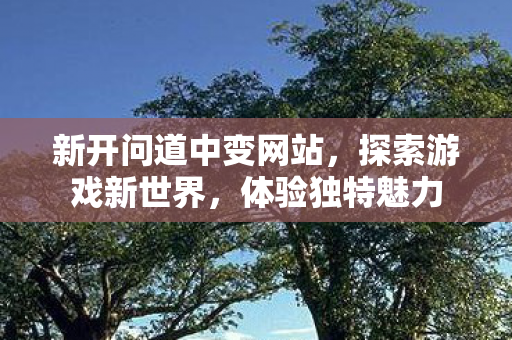 新开问道中变网站，探索游戏新世界，体验独特魅力