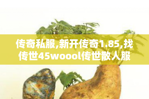 传奇私服,新开传奇1.85,找传世45woool传世散人服,传奇新开网站sf,找传世45woool传世散人服