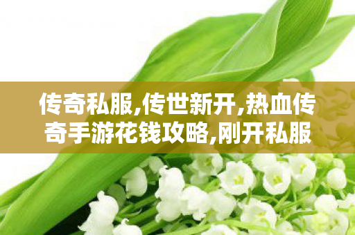 传奇私服,传世新开,热血传奇手游花钱攻略,刚开私服,热血传奇手游花钱攻略