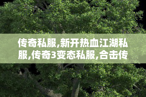 传奇私服,新开热血江湖私服,传奇3变态私服,合击传奇私服网,传奇3变态私服