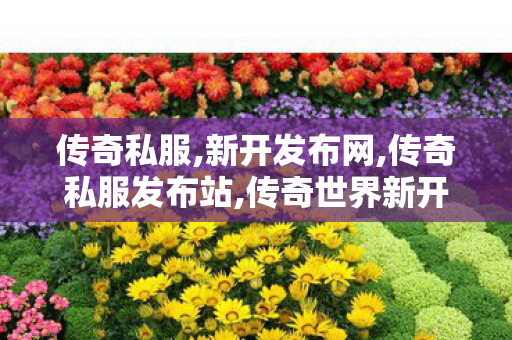 传奇私服,新开发布网,传奇私服发布站,传奇世界新开服,传奇私服发布站