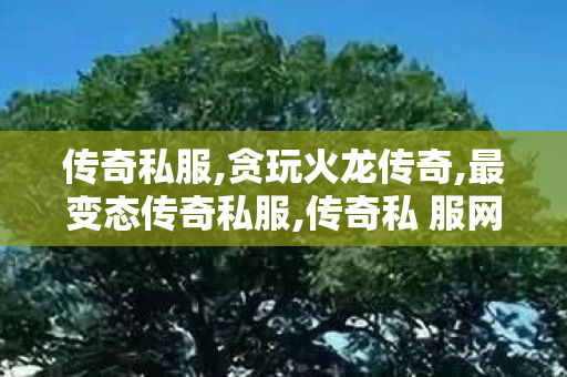 传奇私服,贪玩火龙传奇,最变态传奇私服,传奇私 服网站,最变态传奇私服