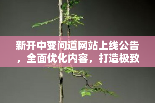 新开中变问道网站上线公告，全面优化内容，打造极致用户体验