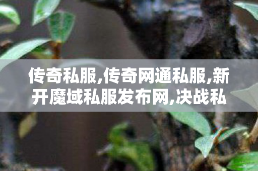 传奇私服,传奇网通私服,新开魔域私服发布网,决战私服发布网,新开魔域私服发布网