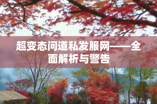 超变态问道私发服网——全面解析与警告