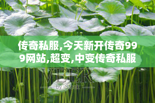 传奇私服,今天新开传奇999网站,超变,中变传奇私服,超变