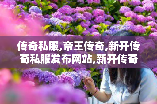 传奇私服,帝王传奇,新开传奇私服发布网站,新开传奇新服,新开传奇私服发布网站