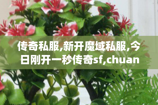传奇私服,新开魔域私服,今日刚开一秒传奇sf,chuanqisifu,今日刚开一秒传奇sf