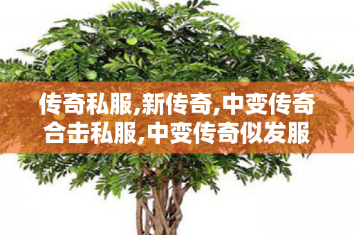 传奇私服,新传奇,中变传奇合击私服,中变传奇似发服网,中变传奇合击私服