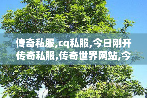 传奇私服,cq私服,今日刚开传奇私服,传奇世界网站,今日刚开传奇私服