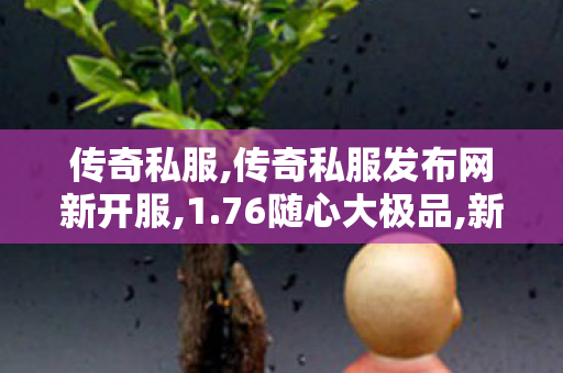 传奇私服,传奇私服发布网新开服,1.76随心大极品,新开中变传奇私服发布网,1.76随心大极品