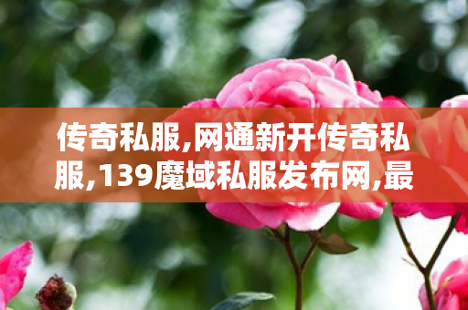 传奇私服,网通新开传奇私服,139魔域私服发布网,最新传奇私服发布网,139魔域私服发布网