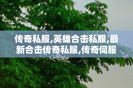 传奇私服,英雄合击私服,最新合击传奇私服,传奇伺服,最新合击传奇私服