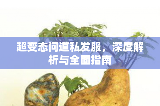 超变态问道私发服，深度解析与全面指南