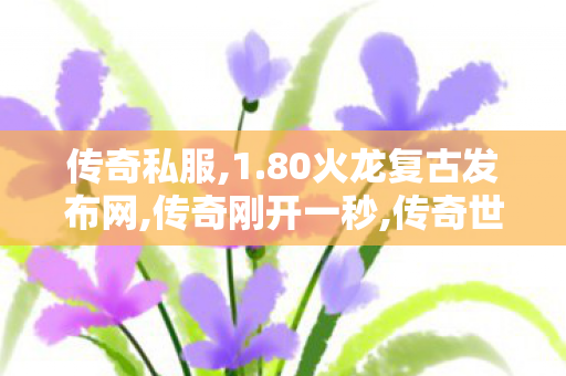 传奇私服,1.80火龙复古发布网,传奇刚开一秒,传奇世界sf外挂,传奇刚开一秒