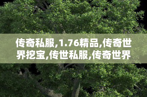 传奇私服,1.76精品,传奇世界挖宝,传世私服,传奇世界挖宝