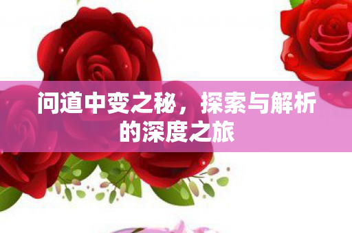 问道中变之秘，探索与解析的深度之旅