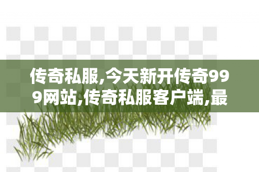 传奇私服,今天新开传奇999网站,传奇私服客户端,最火单职业私服传奇,传奇私服客户端