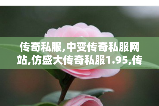 传奇私服,中变传奇私服网站,仿盛大传奇私服1.95,传世私服服务端,仿盛大传奇私服1.95