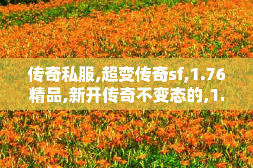 传奇私服,超变传奇sf,1.76精品,新开传奇不变态的,1.76精品