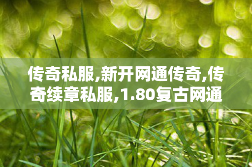 传奇私服,新开网通传奇,传奇续章私服,1.80复古网通,传奇续章私服