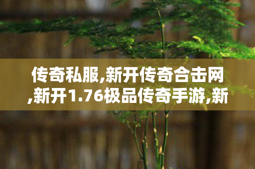 传奇私服,新开传奇合击网,新开1.76极品传奇手游,新开的传奇私服,新开1.76极品传奇手游