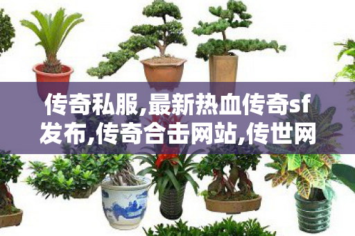 传奇私服,最新热血传奇sf发布,传奇合击网站,传世网,传奇合击网站