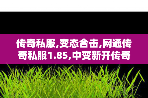 传奇私服,变态合击,网通传奇私服1.85,中变新开传奇网站刚开一秒,网通传奇私服1.85