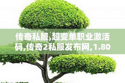 传奇私服,超变单职业激活码,传奇2私服发布网,1.80复古网通,传奇2私服发布网