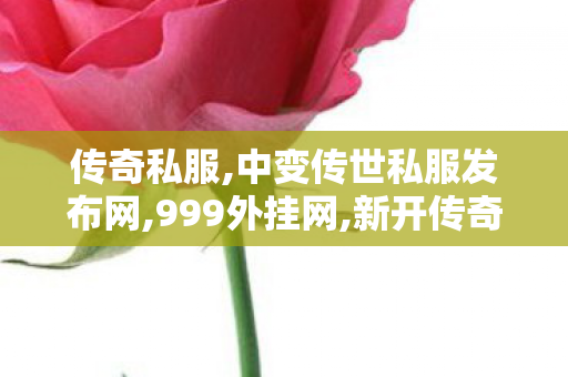 传奇私服,中变传世私服发布网,999外挂网,新开传奇私服变态,999外挂网